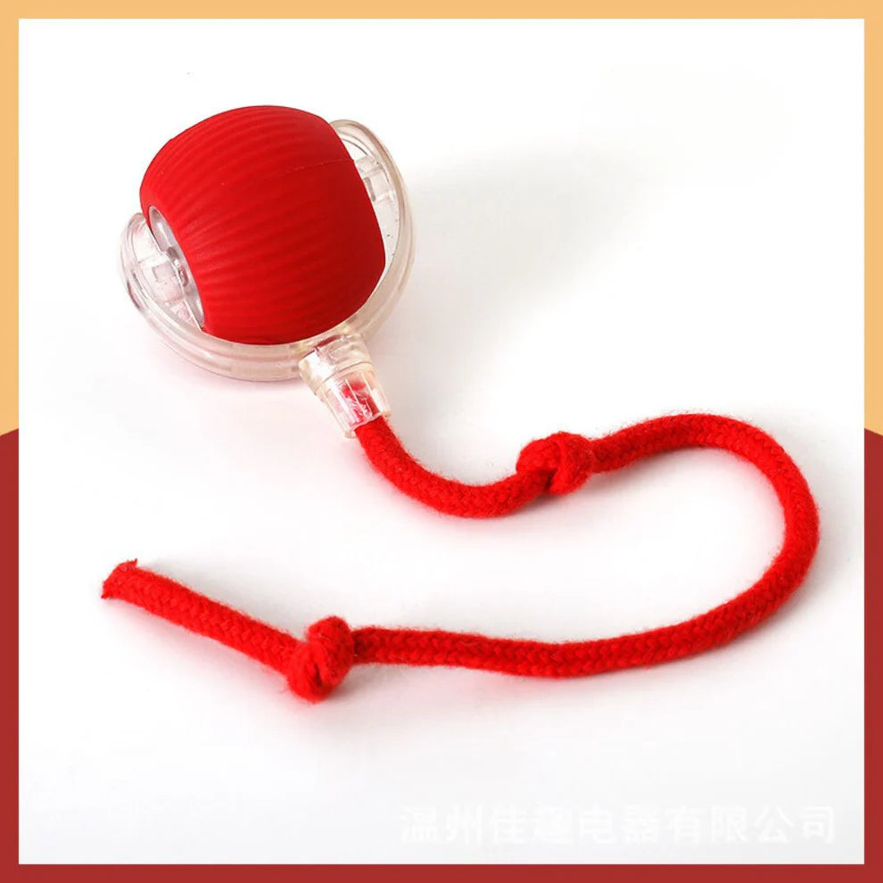 Pawsible Smart Pet Chase Ball With Tail For Cats