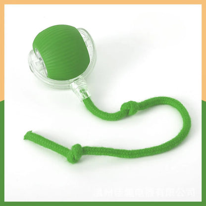 Pawsible Smart Pet Chase Ball With Tail For Cats