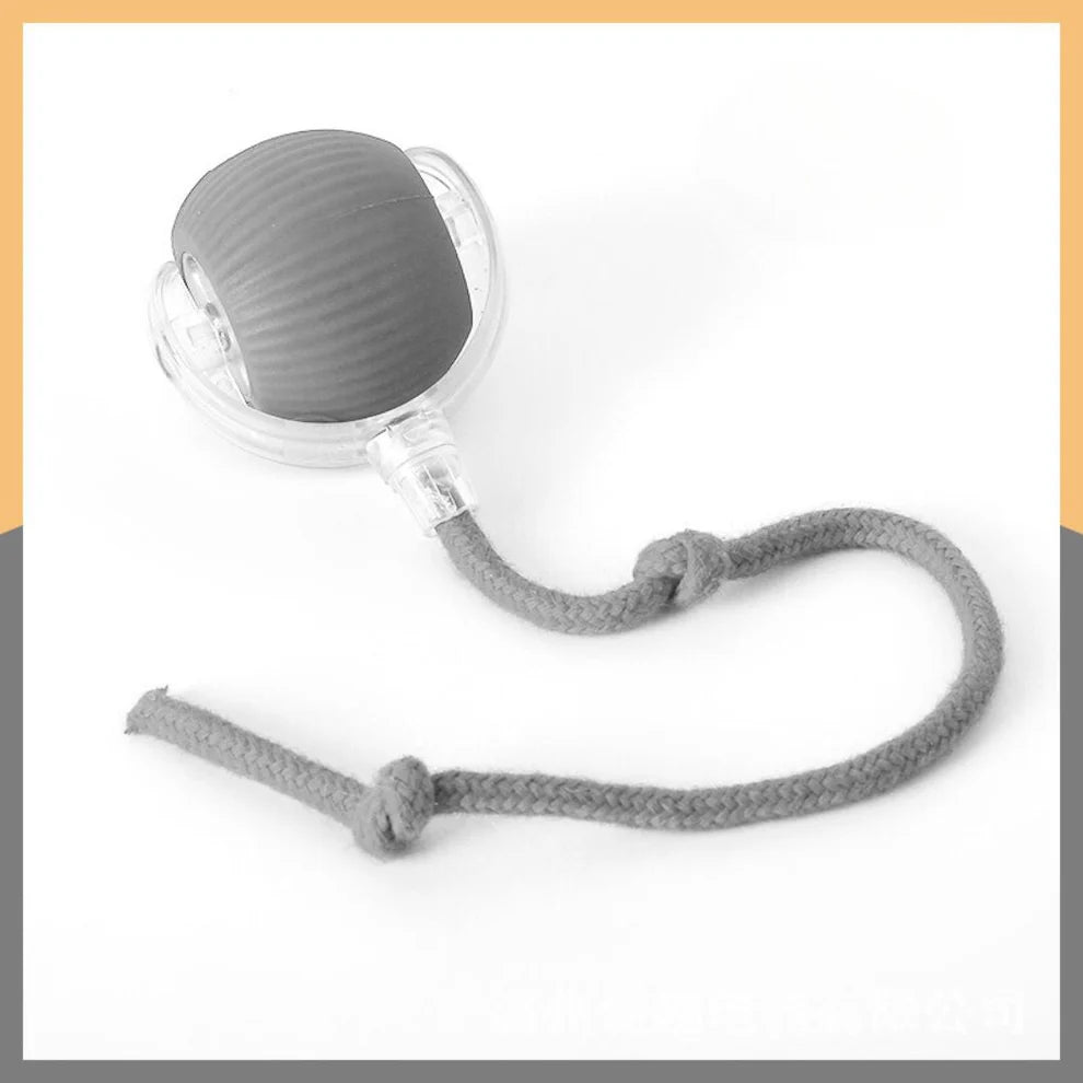 Pawsible Smart Pet Chase Ball With Tail For Cats