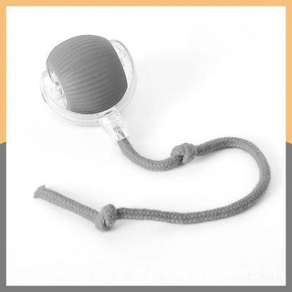 Pawsible Smart Pet Chase Ball With Tail For Cats